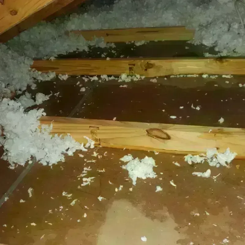 Attic Water Damage in El Cerrito Corona, CA