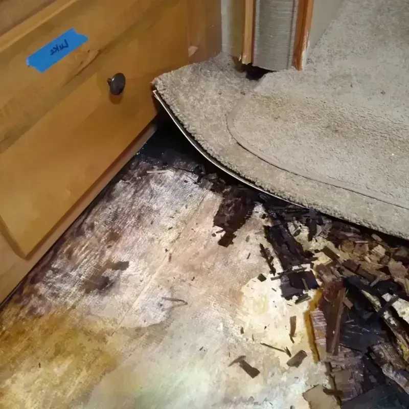 Wood Floor Water Damage in El Cerrito Corona, CA